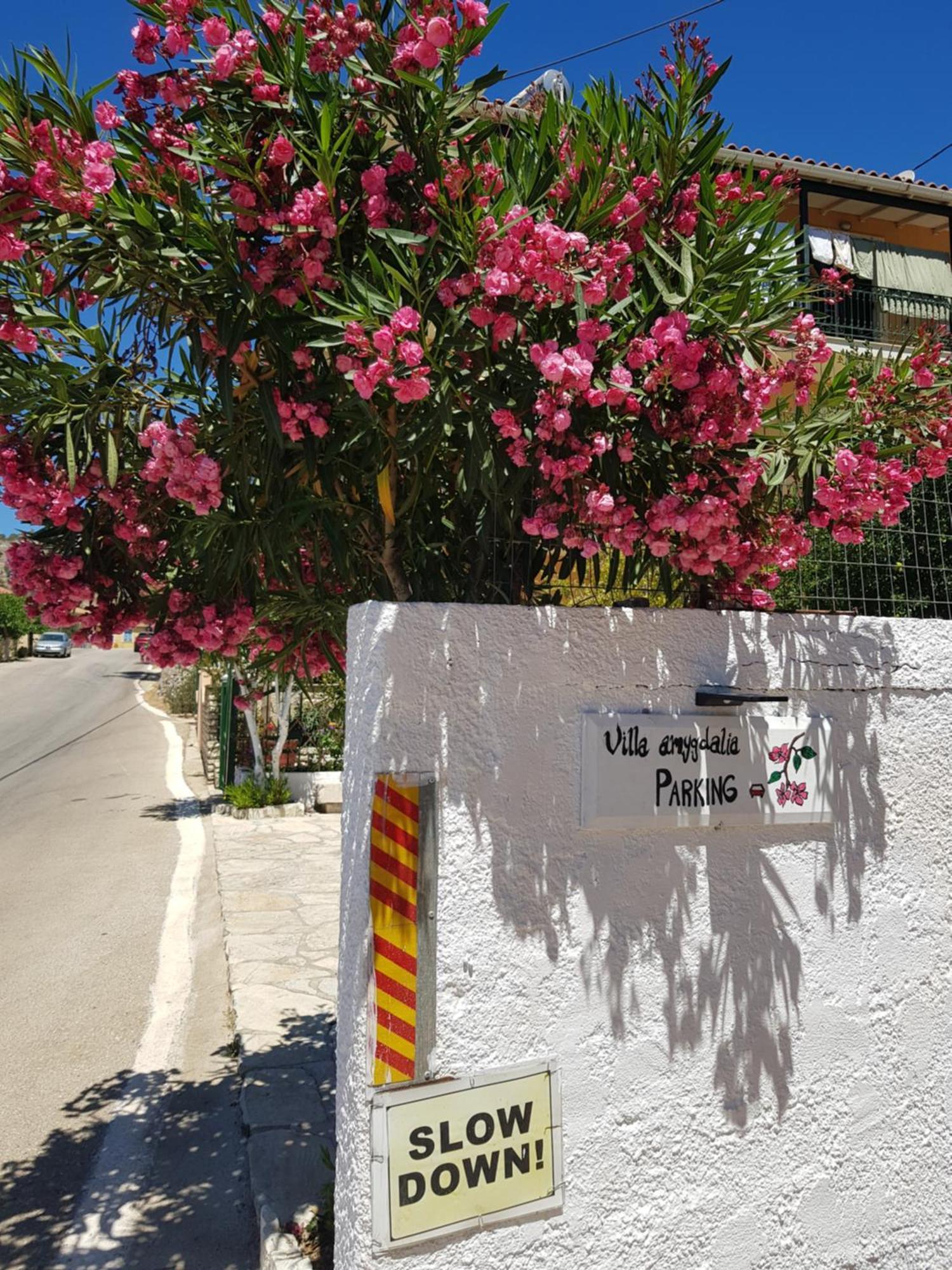 Villa Amygdalia Dilinata ภายนอก รูปภาพ